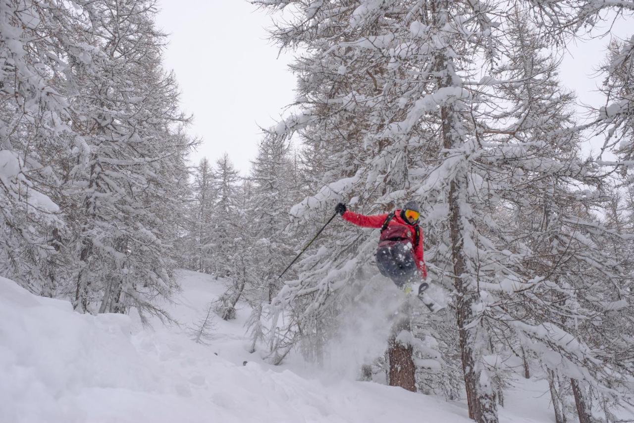 Chalet Della Guida Bardonecchia Εξωτερικό φωτογραφία